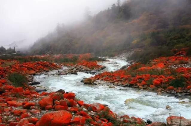 就算是高岭之花也要攻略!更何况这里还是《画壁》的取景地!