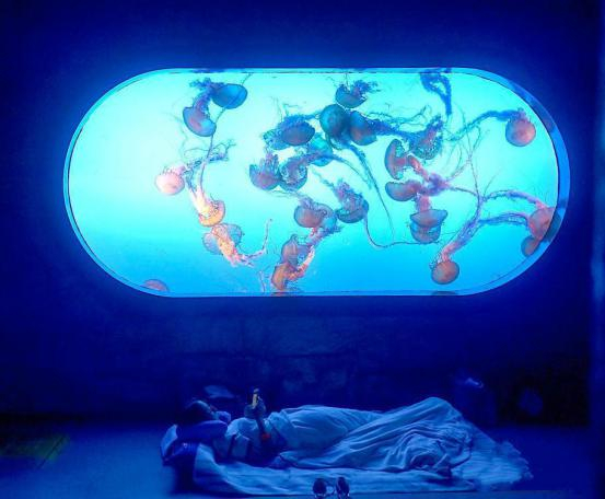 夜宿海洋世界,探寻神秘浩海立方!