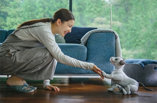 索尼推出娱乐机器人aibo 并首次对外透露AI×