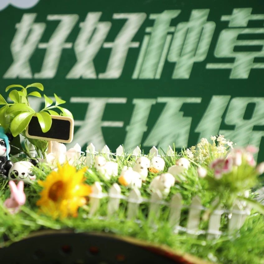 不开玩笑,这次带你去种一片真的草原