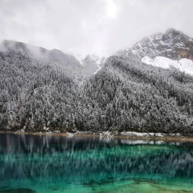 九寨溝下大雪了!這樣的美景難得一見