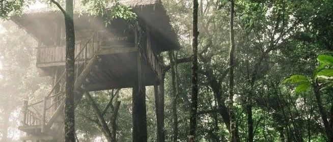 上海中考一篇作文被評定為“雷同卷”,原因竟是改寫自雷同例文!請...