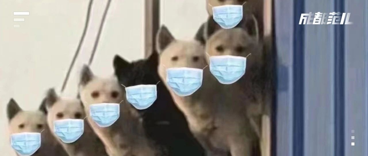 成都人:剛請好的年假怎么辦?