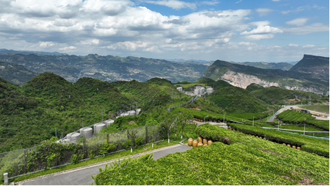 云锦佳酿 5G+8K酿造幸福生活