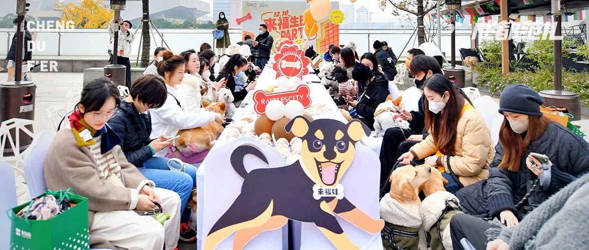 成都来福士广场真有你的!为了宠物“豁”出去了!