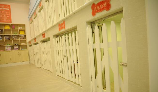 成都宠物店寄养大全!价格环境分类床位…过年