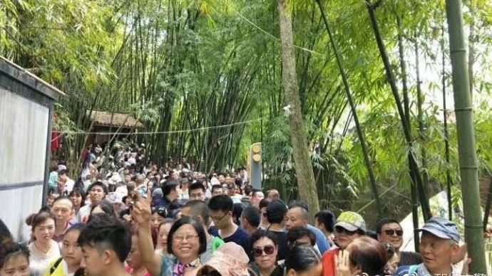 贫穷使我幸运，五一小长假没有出门遭遇人挤人