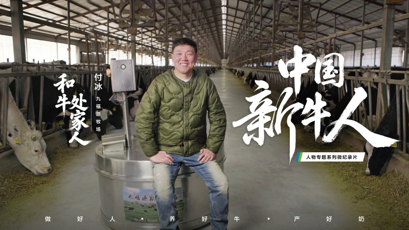 养牛人付冰：在中国好牧场孕育世界级好奶