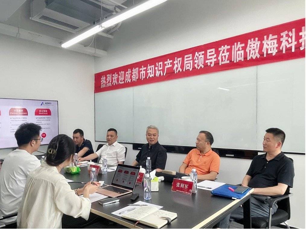 助力数字经济发展,成都市市场监管局谈忠副局长一行莅临傲梅科技公司调研