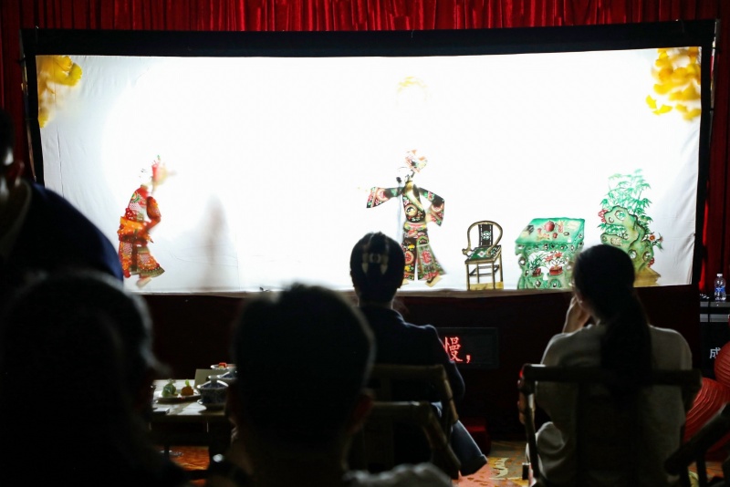 地球之夜·戏说灯影艺术演出沙龙圆满举办