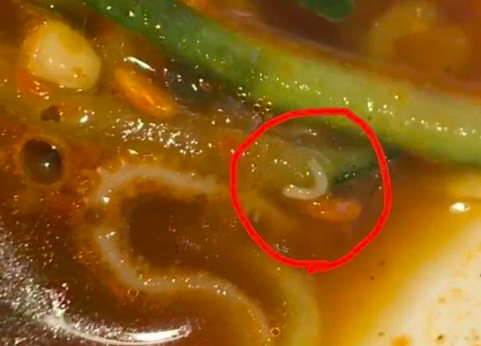 网曝成都太古里柴门饭儿吃出活蛆,市场监管部门已介入调查